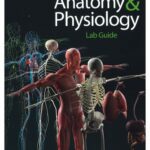 خرید و دانلود نسخه کامل کتاب Human Anatomy & Physiology Lab Guide