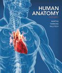 خرید و دانلود نسخه کامل کتاب Human Anatomy
