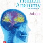 خرید و دانلود نسخه کامل کتاب Human Anatomy
