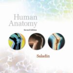 خرید و دانلود نسخه کامل کتاب Human Anatomy