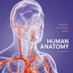 خرید و دانلود نسخه کامل کتاب Human Anatomy