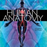 خرید و دانلود نسخه کامل کتاب Human Anatomy