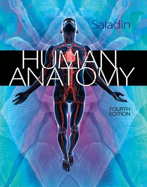 خرید و دانلود نسخه کامل کتاب Human Anatomy
