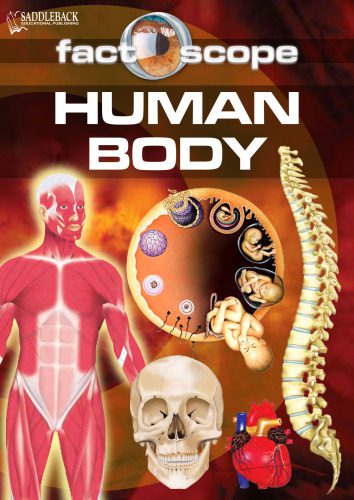 خرید و دانلود نسخه کامل کتاب Human Body_68d07c4e33485.jpeg خرید و دانلود نسخه کامل کتاب Human Body