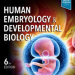 خرید و دانلود نسخه کامل کتاب Human Embryology & Developmental Biology