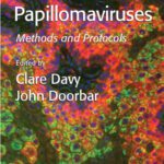 خرید و دانلود نسخه کامل کتاب Human Papillomaviruses: Methods and Protocols