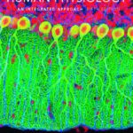 خرید و دانلود نسخه کامل کتاب Human Physiology: An Integrated Approach