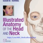 خرید و دانلود نسخه کامل کتاب Illustrated Anatomy of the Head and Neck