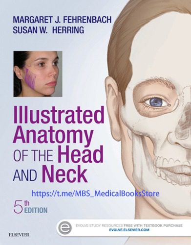 خرید و دانلود نسخه کامل کتاب Illustrated Anatomy of the Head and Neck_68b934fb75b0f.jpeg خرید و دانلود نسخه کامل کتاب Illustrated Anatomy of the Head and Neck