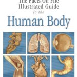 خرید و دانلود نسخه کامل کتاب Illustrated Guide to the Human Body: The Respiratory System (Facts on File)