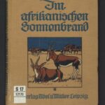 خرید و دانلود نسخه کامل کتاب Im afrikanischen Sonnenbrand