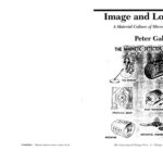 خرید و دانلود نسخه کامل کتاب Image and Logic: A Material Culture of Microphysics