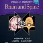 خرید و دانلود نسخه کامل کتاب Imaging Anatomy Brain and Spine, 1e (2020)