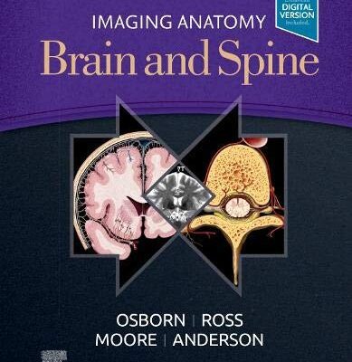 خرید و دانلود نسخه کامل کتاب Imaging Anatomy Brain and Spine, 1e (2020)