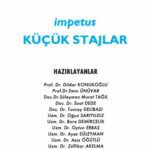 خرید و دانلود نسخه کامل کتاب İmpetus Küçük Stajlar Notu