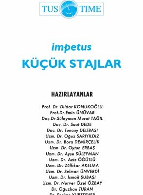 خرید و دانلود نسخه کامل کتاب İmpetus Küçük Stajlar Notu
