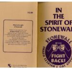 خرید و دانلود نسخه کامل کتاب In the Spirit of Stonewall