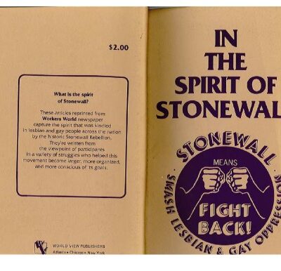 خرید و دانلود نسخه کامل کتاب In the Spirit of Stonewall