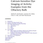 خرید و دانلود نسخه کامل کتاب In Vivo Optical Imaging of Brain Function