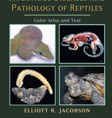 خرید و دانلود نسخه کامل کتاب Infectious diseases and pathology of reptiles