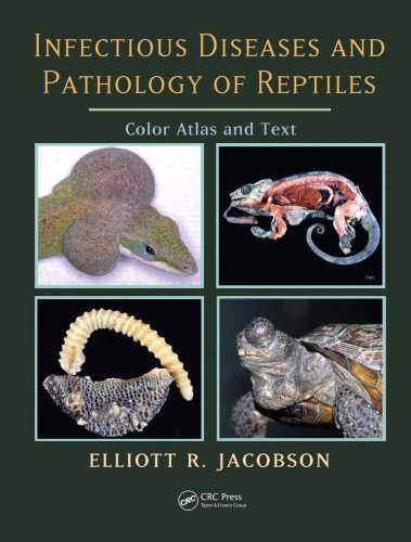 خرید و دانلود نسخه کامل کتاب Infectious diseases and pathology of reptiles_68b9f361e780a.jpeg خرید و دانلود نسخه کامل کتاب Infectious diseases and pathology of reptiles