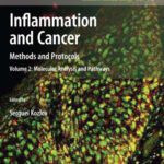 خرید و دانلود نسخه کامل کتاب Inflammation and Cancer: Methods and Protocols: Volume 2: Molecular Analysis and Pathways