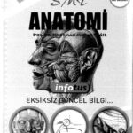 خرید و دانلود نسخه کامل کتاب İnfotus Anatomi Konu Kitabı
