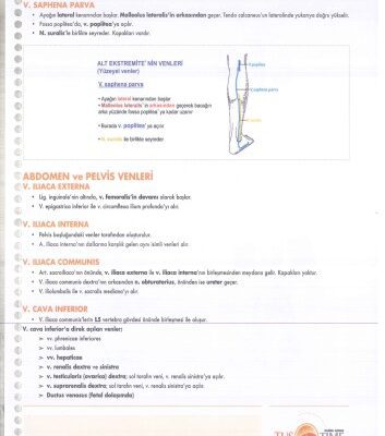 خرید و دانلود نسخه کامل کتاب İnfotus Anatomi Konu Kitabı