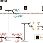 خرید و دانلود نسخه کامل کتاب Inorganic Materialsas Catalysts for Photochemical Splitting of Water