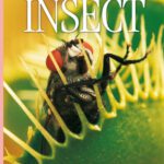 خرید و دانلود نسخه کامل کتاب Insect (DK Eyewitness Books)