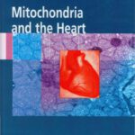 خرید و دانلود نسخه کامل کتاب Interstitial Fibrosis in Heart Failure
