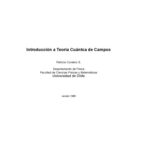 خرید و دانلود نسخه کامل کتاب Introducción a Teoría Cuántica de Campos