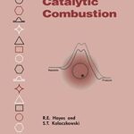 خرید و دانلود نسخه کامل کتاب Introduction to Catalytic Combustion