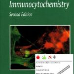 خرید و دانلود نسخه کامل کتاب Introduction to Immunocytochemistry