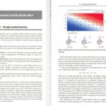 خرید و دانلود نسخه کامل کتاب Introduction to many body physics (chps. 16–18 + Epilogue)