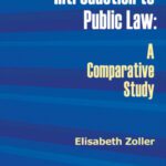 خرید و دانلود نسخه کامل کتاب Introduction to Public Law: A Comparative Study