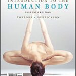 خرید و دانلود نسخه کامل کتاب Introduction to the Human Body (11th Edition) – Orginal Pdf