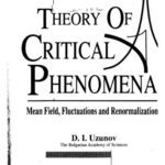 خرید و دانلود نسخه کامل کتاب Introduction to the theory of critical phenomena: mean field, fluctuations and renormalization