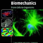 خرید و دانلود نسخه کامل کتاب Introductory Biomechanics – From Cells to Organisms