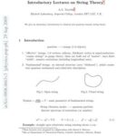 خرید و دانلود نسخه کامل کتاب Introductory Lectures on String Theory