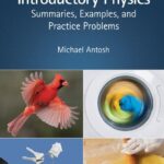 خرید و دانلود نسخه کامل کتاب Introductory Physics: Summaries, Examples, and Practice Problems