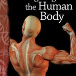 خرید و دانلود نسخه کامل کتاب Investigating the Human Body: Life Science (Science Readers)