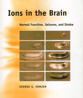 خرید و دانلود نسخه کامل کتاب Ions in the Brain: Normal Function, Seizures, and Stroke