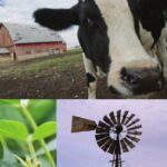 خرید و دانلود نسخه کامل کتاب Iowa Farm in Your Pocket: A Beginner’s Guide (Bur Oak Guide)