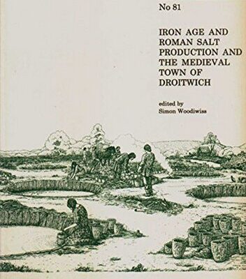 خرید و دانلود نسخه کامل کتاب Iron Age and Roman Salt Production and the Medieval Town of Droitwich: Excavations at the Old Bowling Green and Friar Street