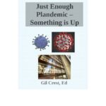 خرید و دانلود نسخه کامل کتاب Just Enough Plandemic – Something is Up, Unraveling the Narrative