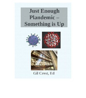 خرید و دانلود نسخه کامل کتاب Just Enough Plandemic – Something is Up, Unraveling the Narrative