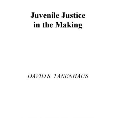 خرید و دانلود نسخه کامل کتاب Juvenile Justice in the Making (Studies in Crime and Public Policy)