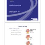 خرید و دانلود نسخه کامل کتاب Kaplan High-Yield Gastroenterology – Gut Embryology