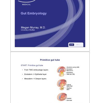 خرید و دانلود نسخه کامل کتاب Kaplan High-Yield Gastroenterology – Gut Embryology